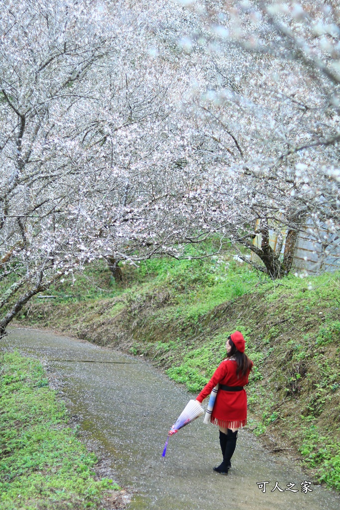 7號梅莊、九份二山