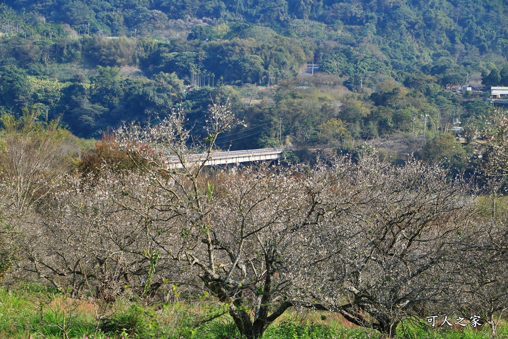 西伯梅園