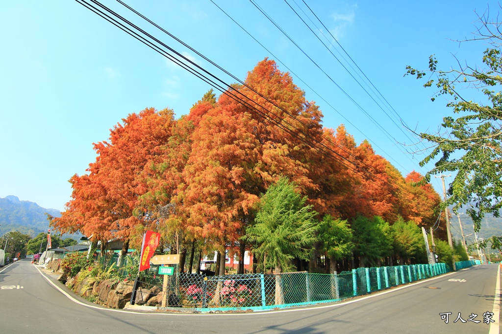 南投埔里一日遊,南投紫色隧道一日遊