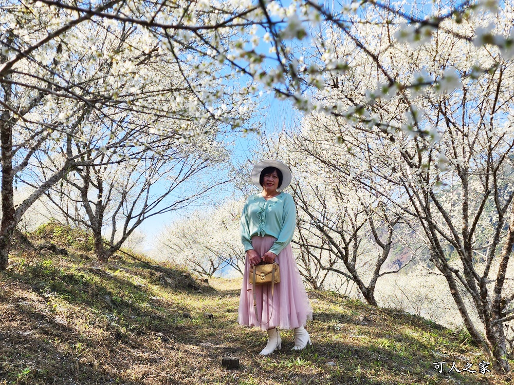 互助國小彭家梅園