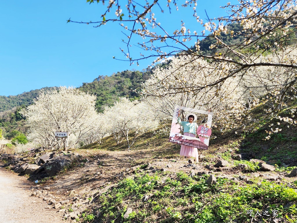 互助國小彭家梅園