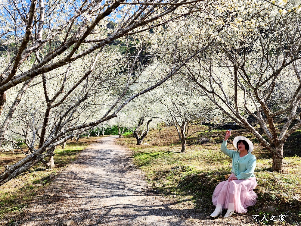 互助國小彭家梅園