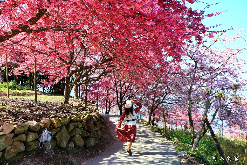 水里阿本農場