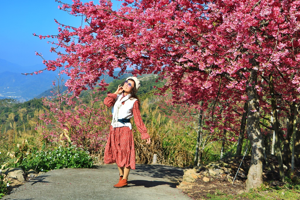 水里阿本農場