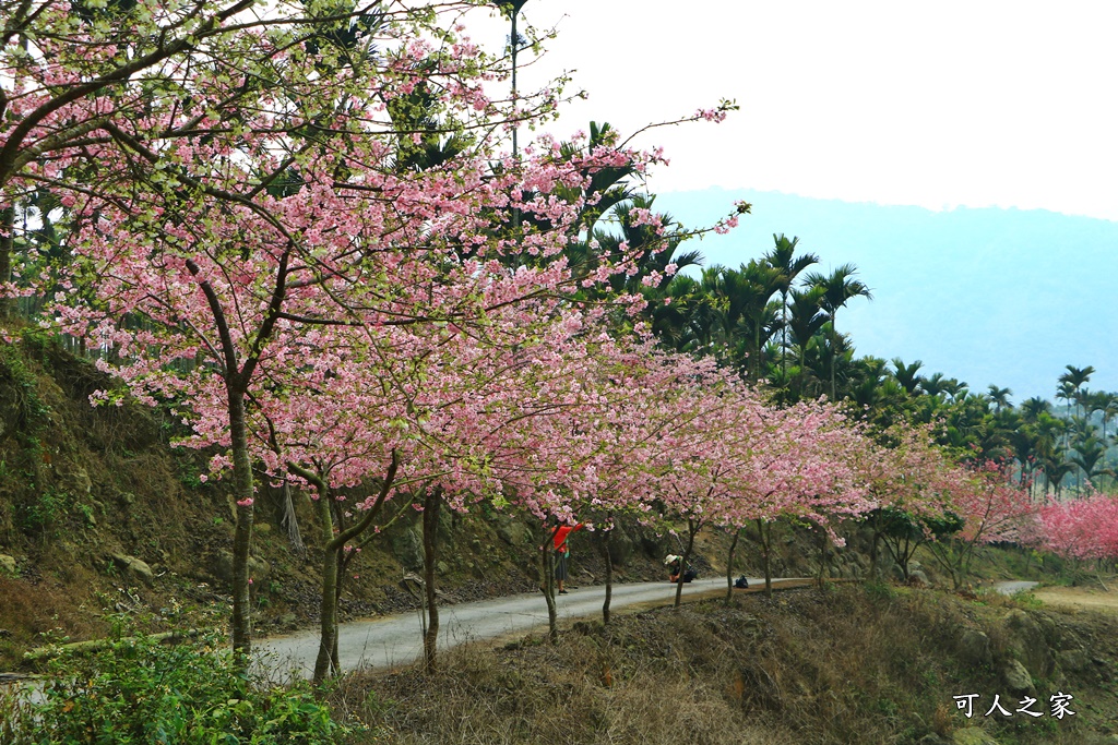 青山坪咖啡農場