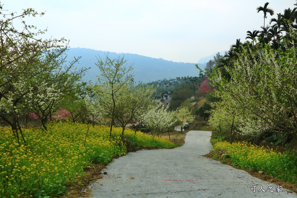 青山坪咖啡農場