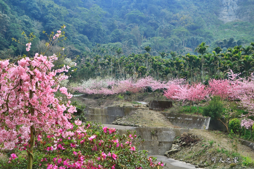 青山坪咖啡農場