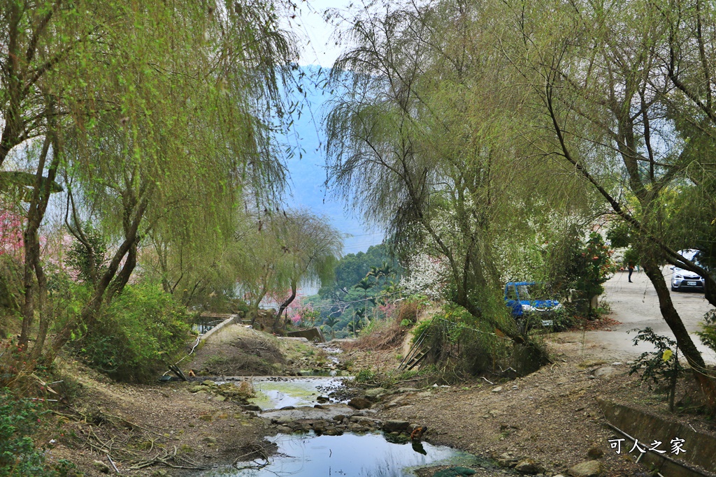 青山坪咖啡農場