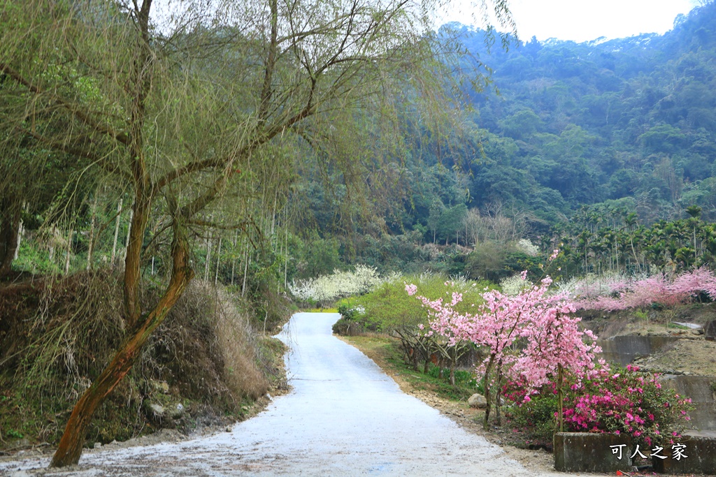 青山坪咖啡農場