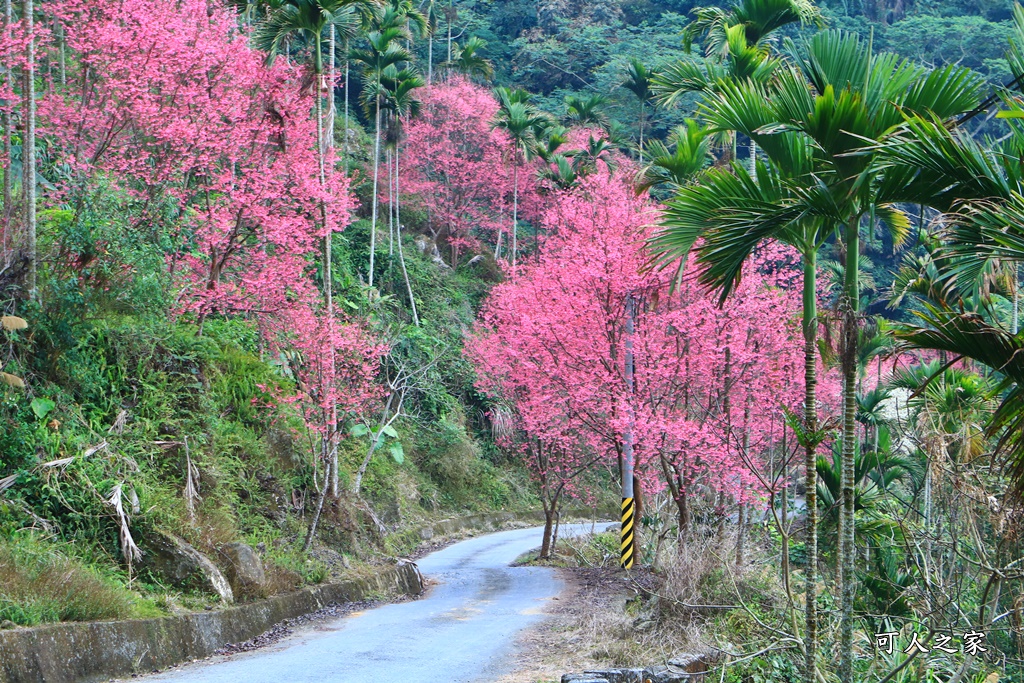 青山坪咖啡農場