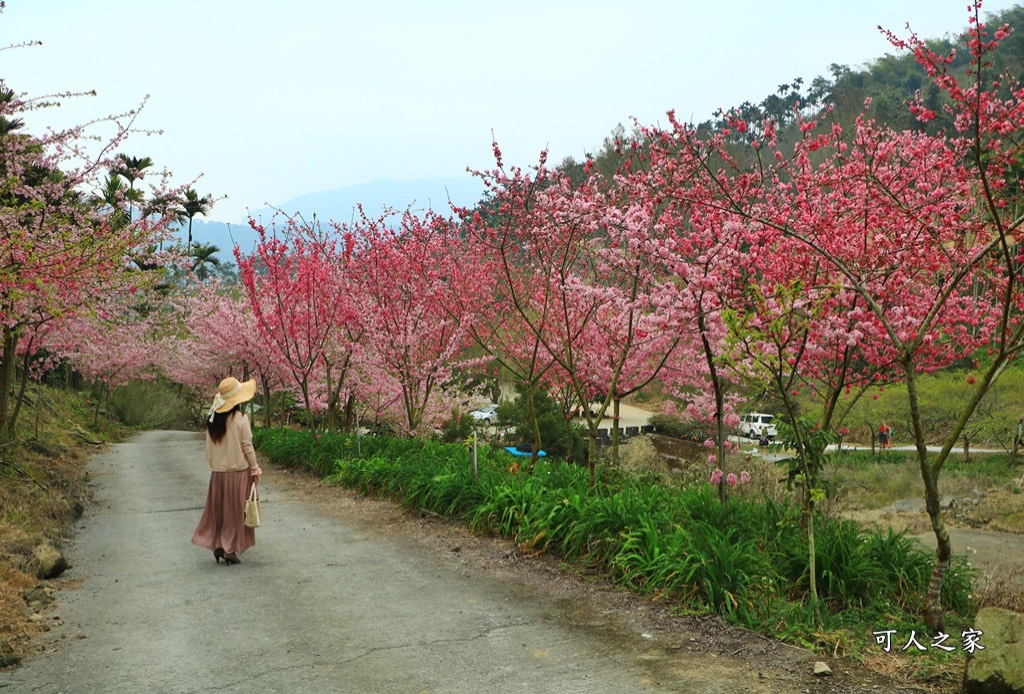 青山坪咖啡農場