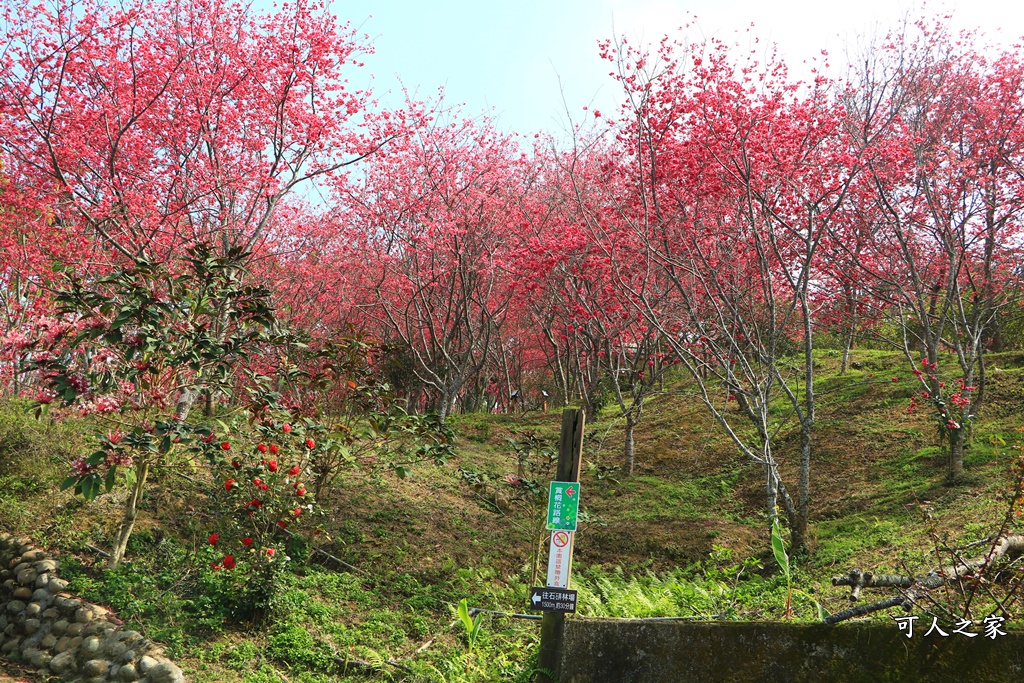 鶯山溫泉民宿