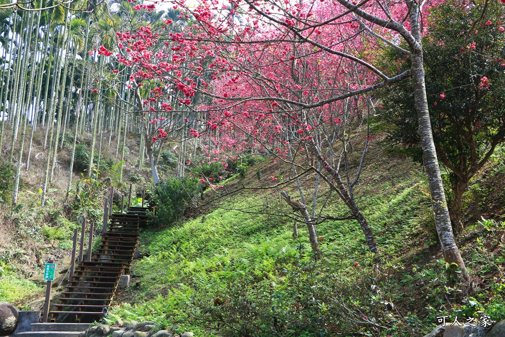 鶯山溫泉民宿