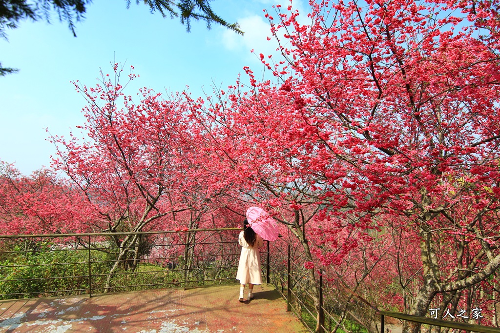 鶯山溫泉民宿