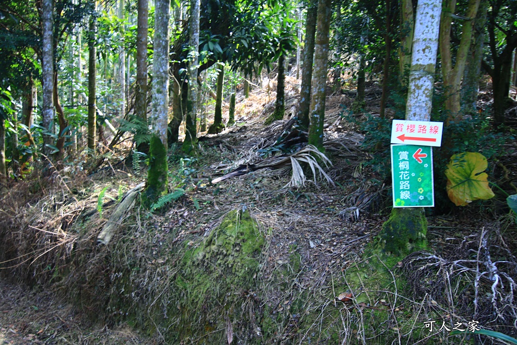 鶯山溫泉民宿