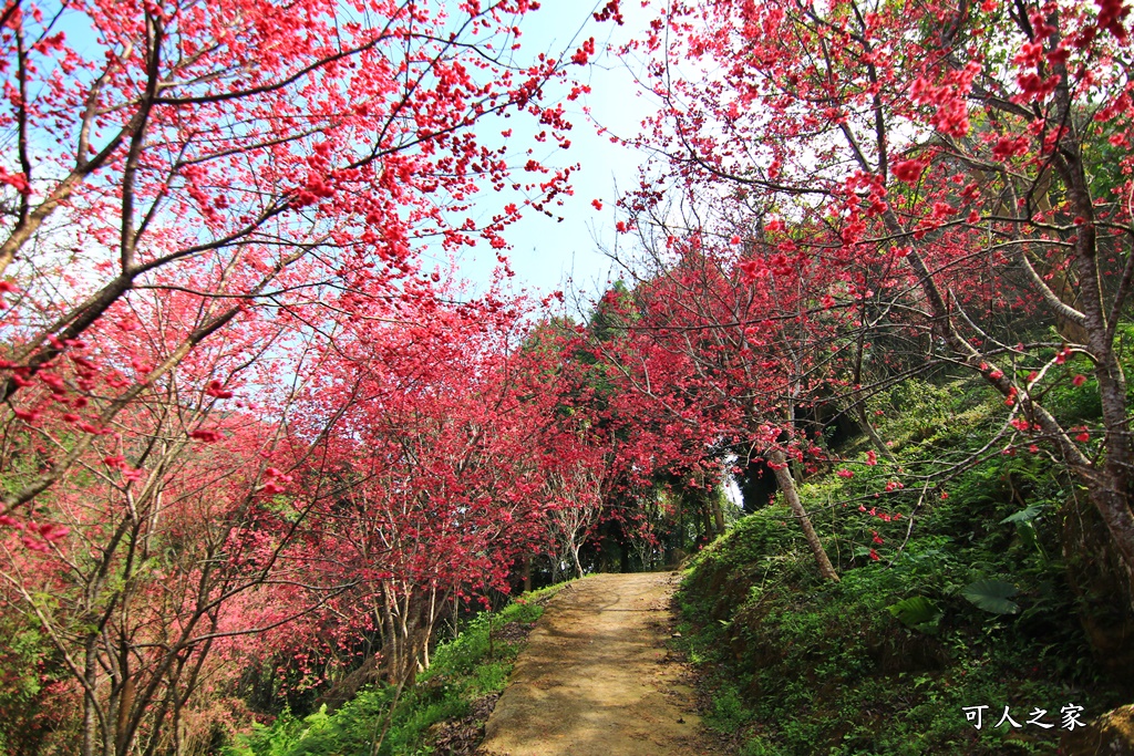 鶯山溫泉民宿