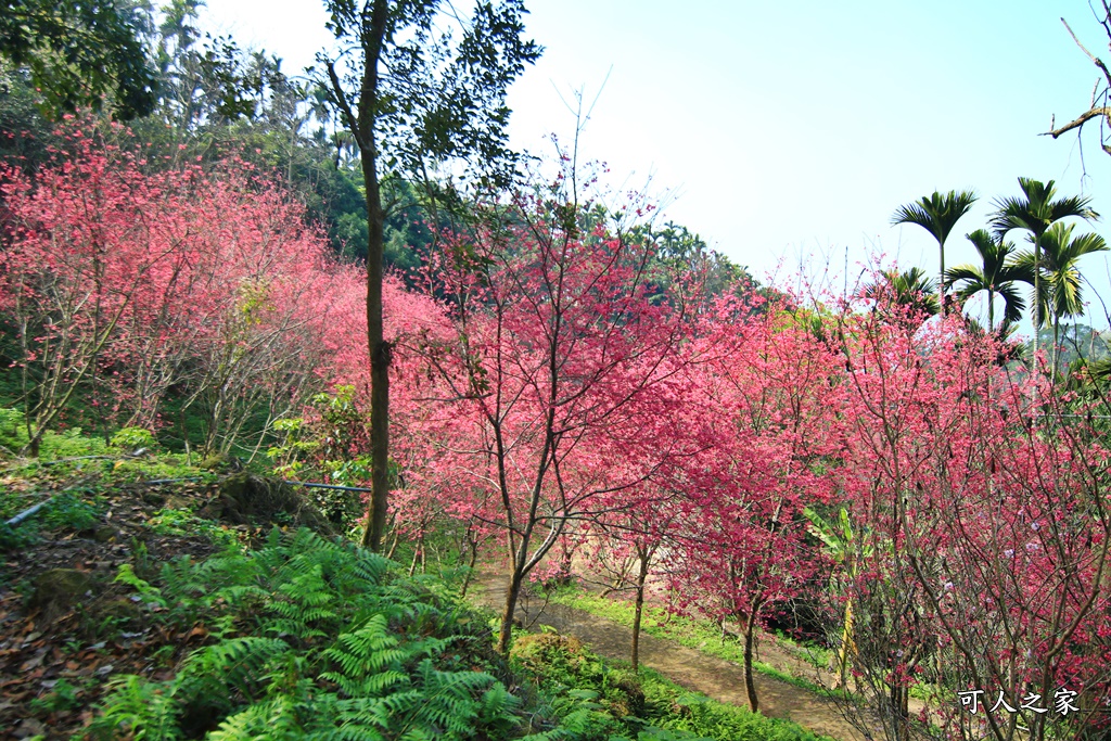 鶯山溫泉民宿