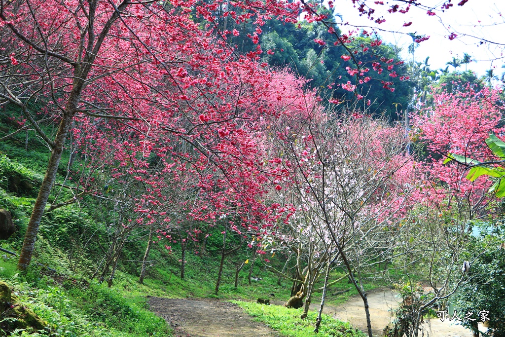 鶯山溫泉民宿