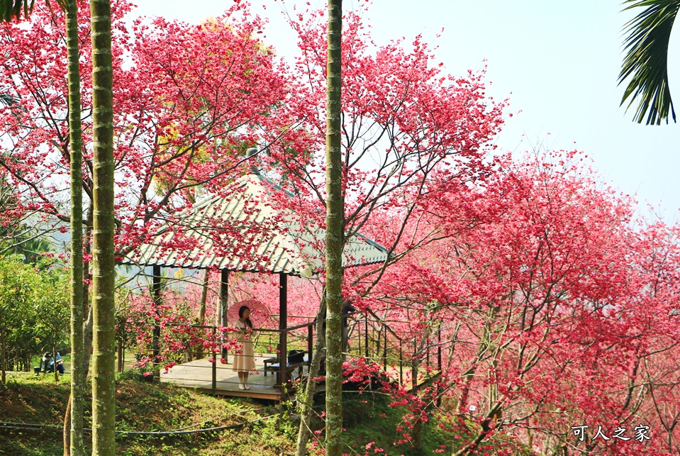 鶯山溫泉民宿