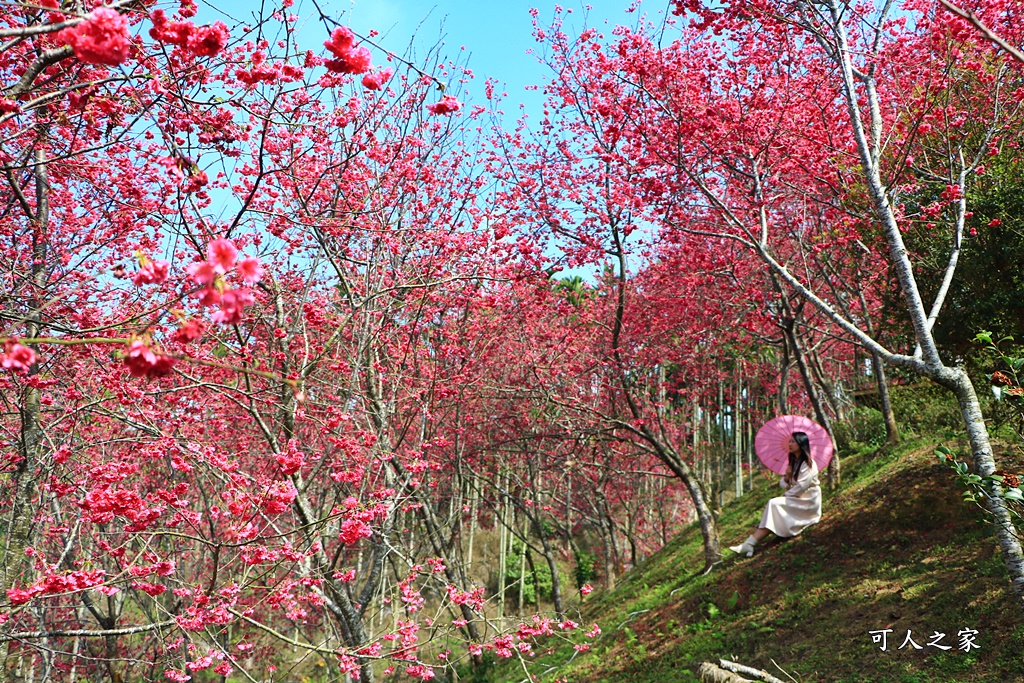 鶯山溫泉民宿