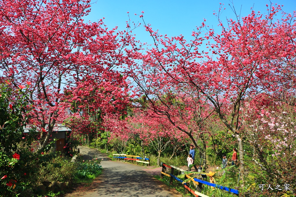 鶯山溫泉民宿