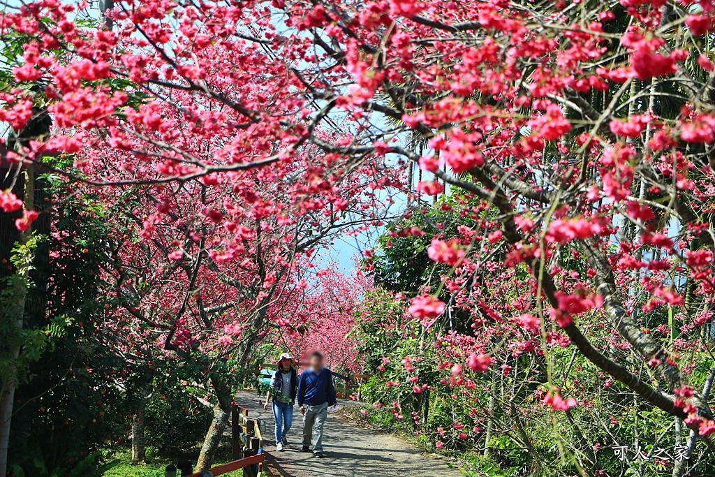 鶯山溫泉民宿