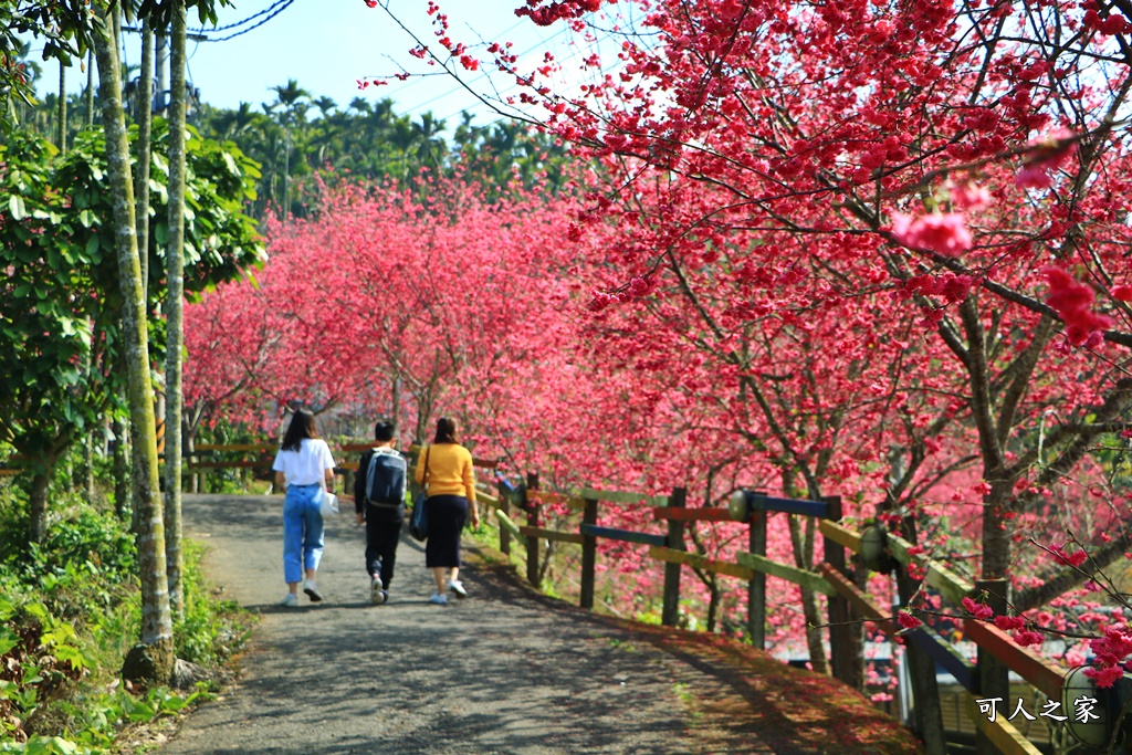 鶯山溫泉民宿