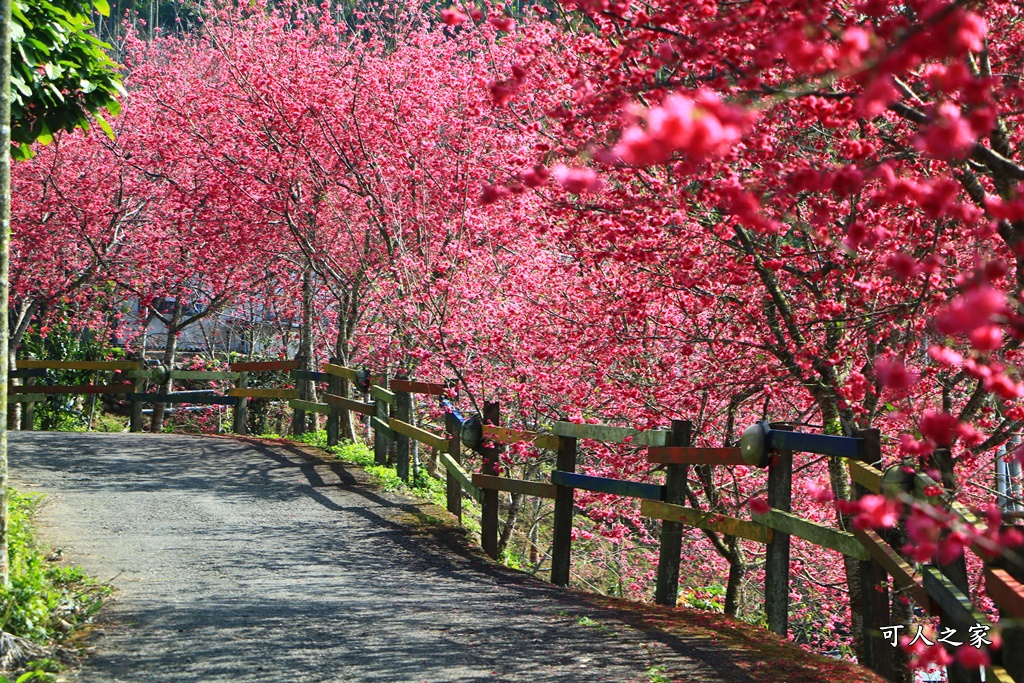 鶯山溫泉民宿