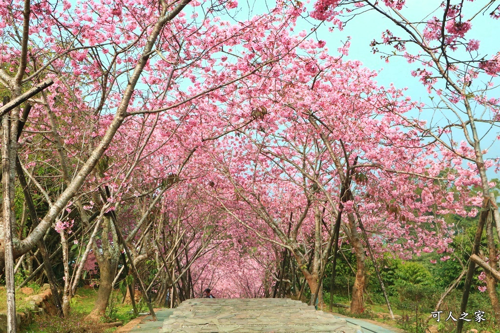 2021鹿谷台大實驗林~鳳凰自然教育園區