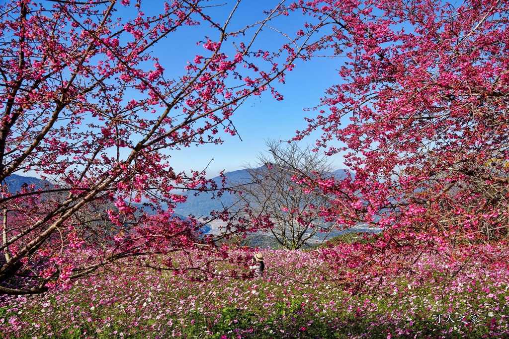 水里阿本農場