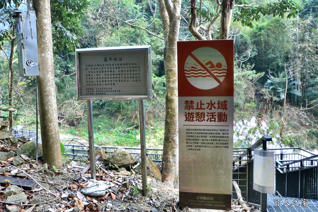 萬年峽谷麝香木,雲林古坑景點