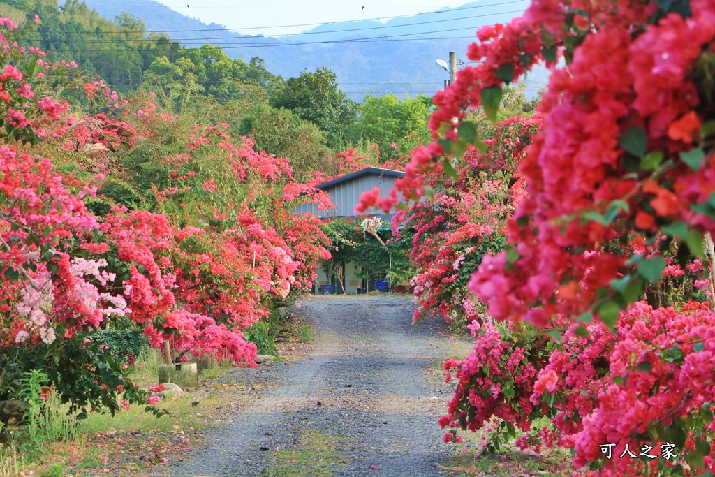 桶頭過溪花園