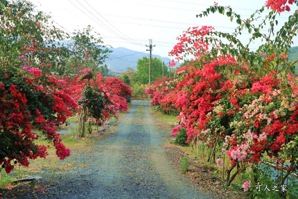 桶頭過溪花園