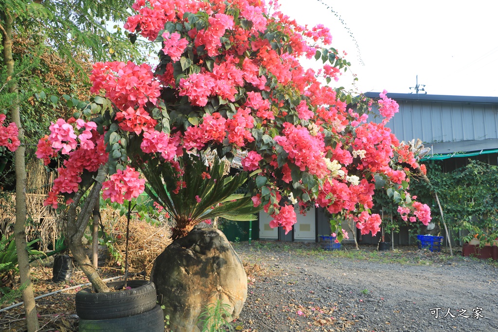 桶頭過溪花園