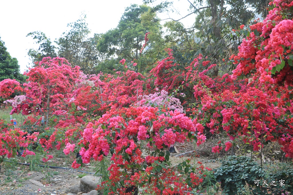 桶頭過溪花園