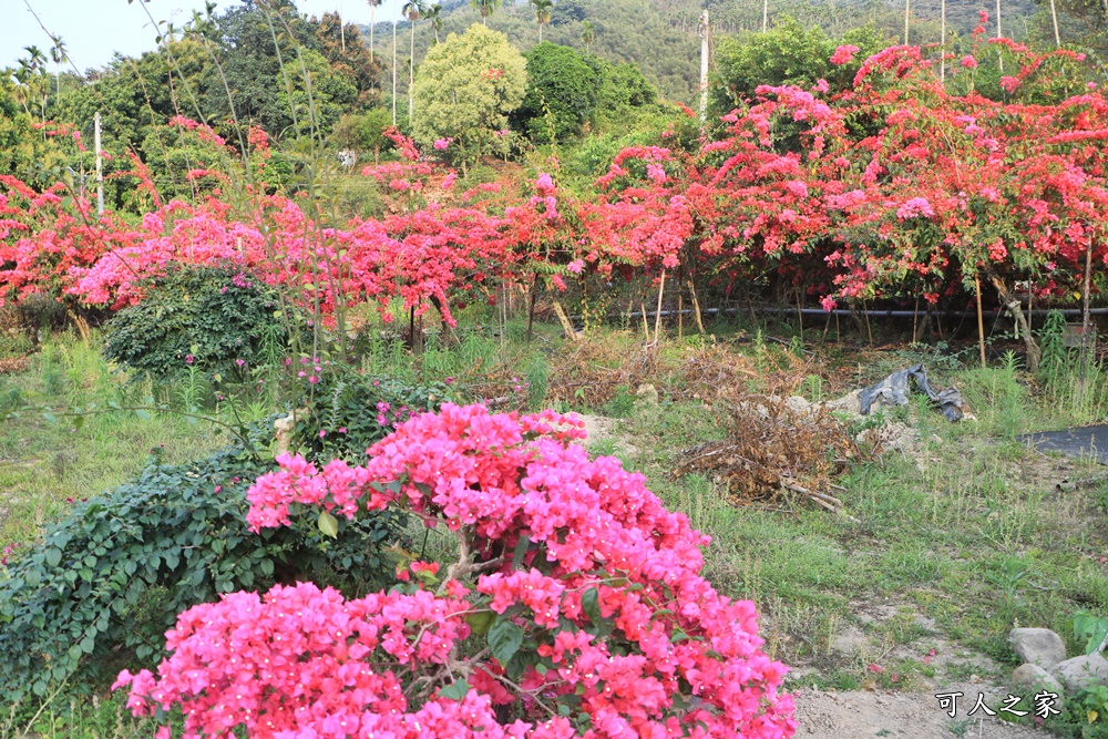 桶頭過溪花園