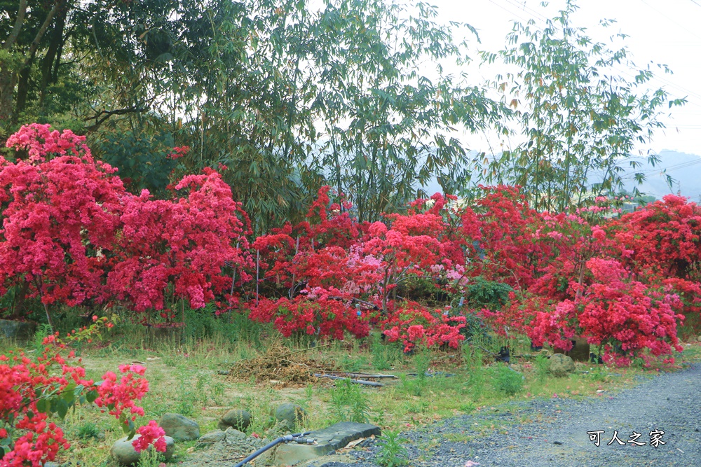 桶頭過溪花園