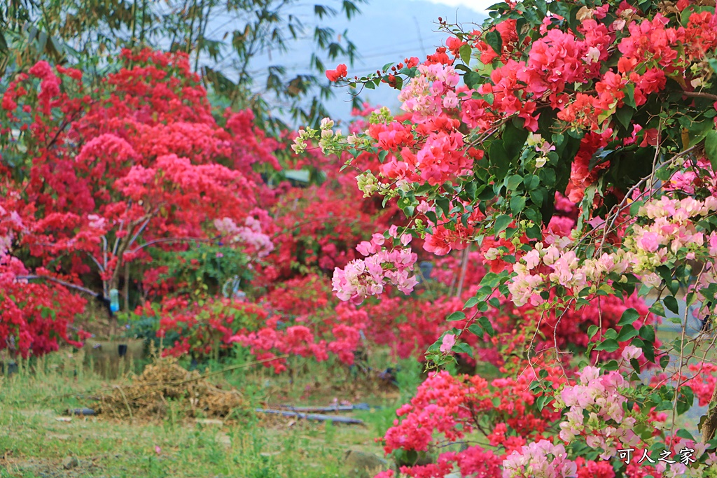 桶頭過溪花園