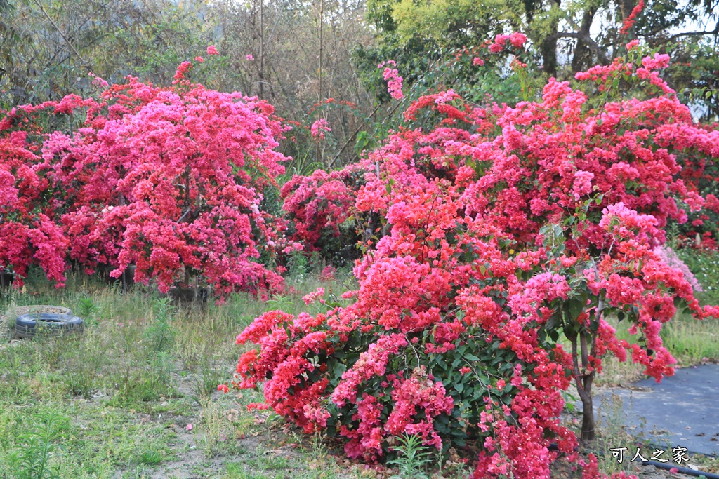 桶頭過溪花園