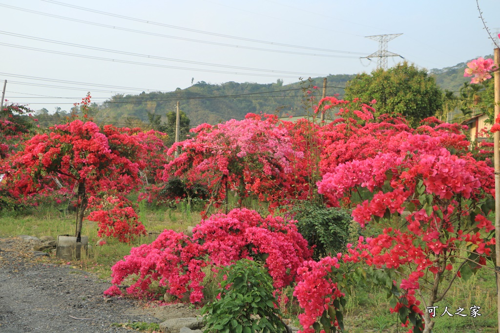 桶頭過溪花園