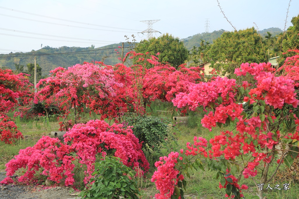 桶頭過溪花園