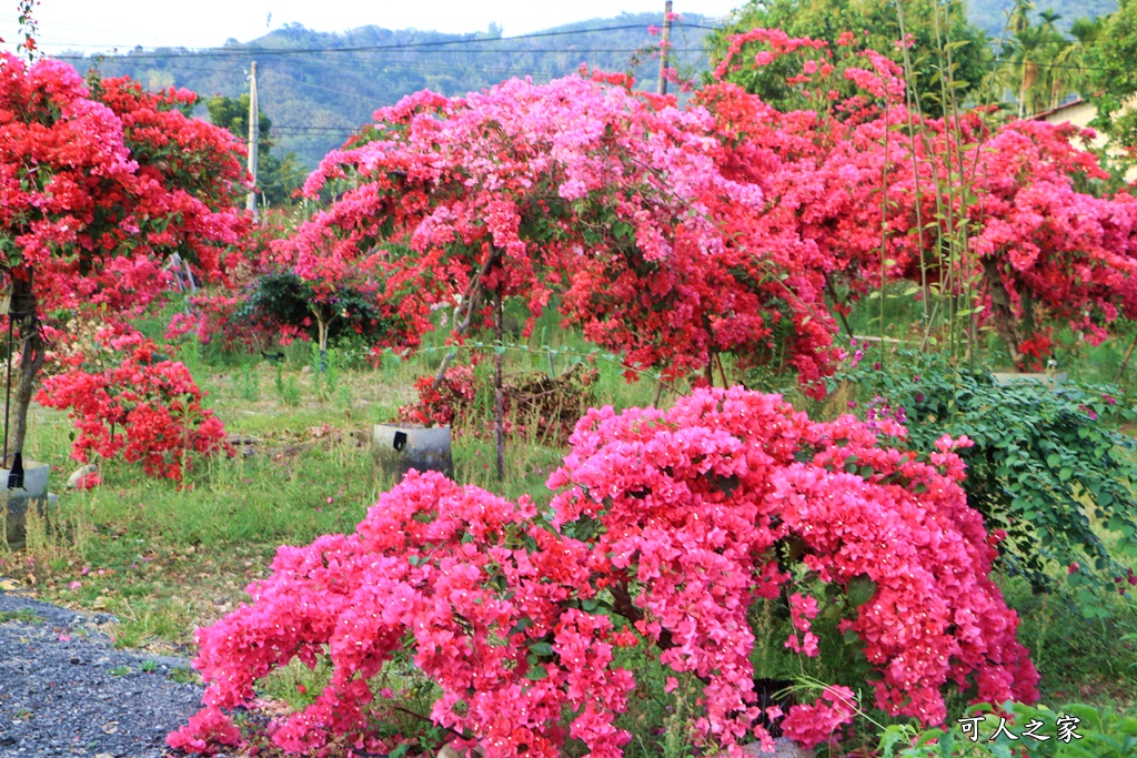 桶頭過溪花園