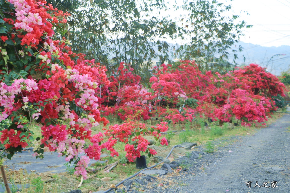 桶頭過溪花園