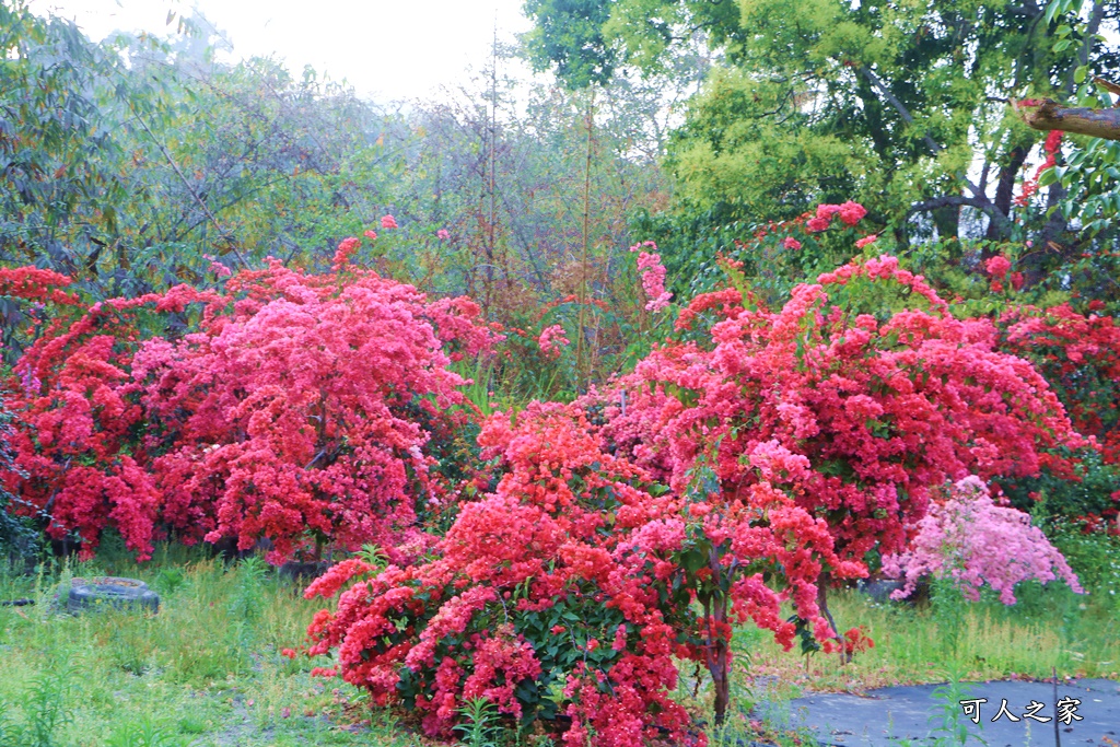 桶頭過溪花園