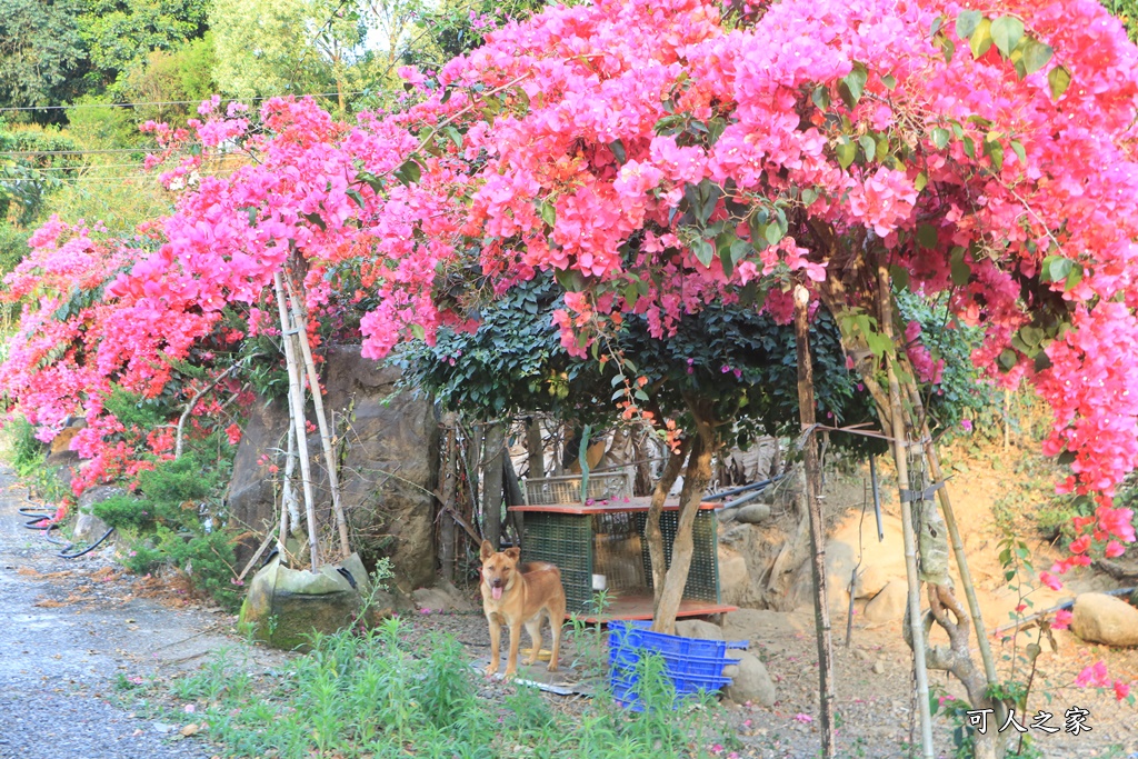 桶頭過溪花園