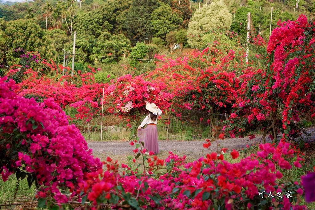 桶頭過溪花園