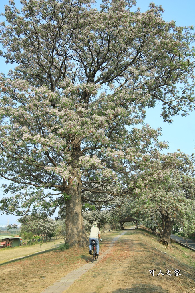 大肚溪棒壘球場