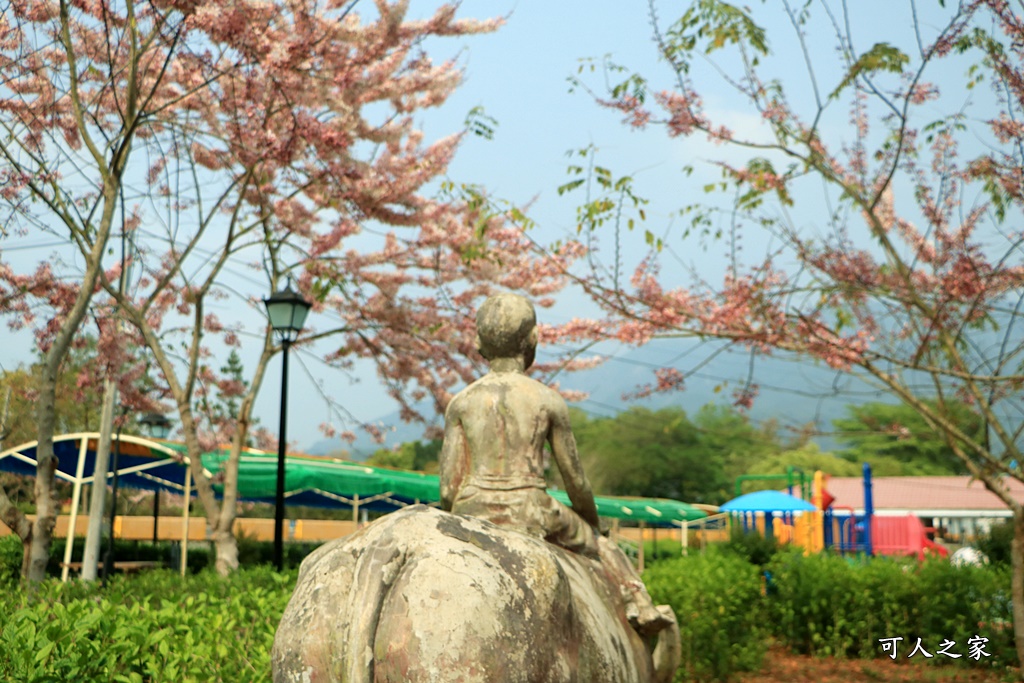 2021竹崎公園花旗木