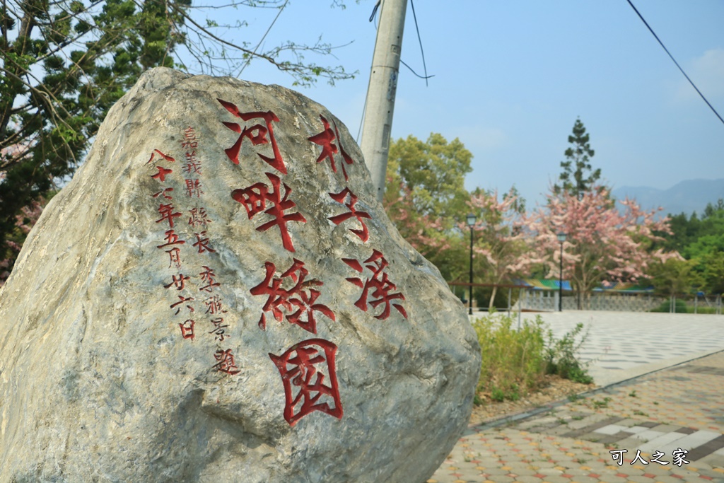 2021竹崎公園花旗木