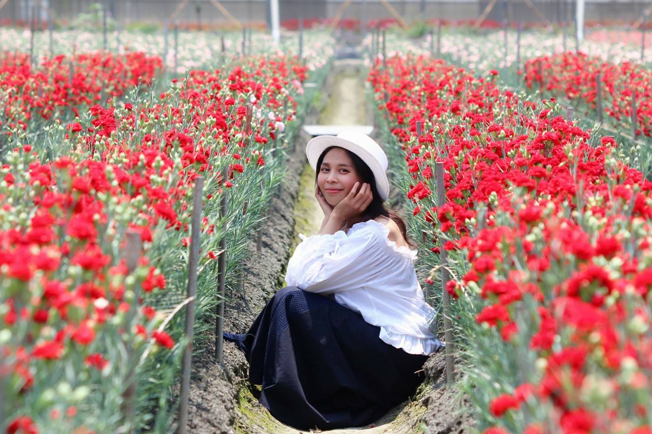 彰化董家花田